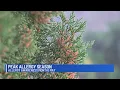 Allergy Awareness What to know about seasonal allergies allergy symptoms ways to get relief