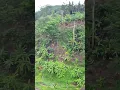 Download Lagu bukit sumosari batealit Jepara||explore Jepara||wisata Jepara