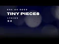 Download Lagu (歌詞) Lyrics ONE OK ROCK - TINY PIECES / DETOX