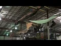 DINO101 Flying Pterodactyl.mpg