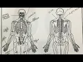 Gianna Bryant Autopsy Report