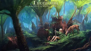 Download Celtic Music - Treeborn MP3