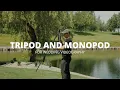 My FAV Tripod and Monopod for Wedding graphy - Vanguard VEO 3 and 2S