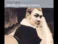 Download Lagu David Gray - Say Hello Wave Goodbye