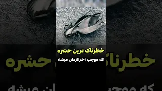 این حشره ترسناک باعث پایان جهان میشه دنیای فیلم 