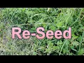 How Do You Reseed A Lawn That s Mostly Weeds