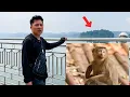 Shocking News Dad goes to the new island where Monkey Kaka is discovered
