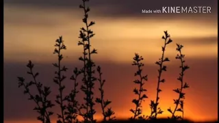 instrument sedih perjalanan kehidupan
