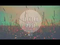 Catching Flies - Quiet Nights