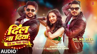  audio dil na diya krrish ka gana sunega song ankush raja raj