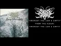 Signs of the Swarm - Amongst the Low & Empty