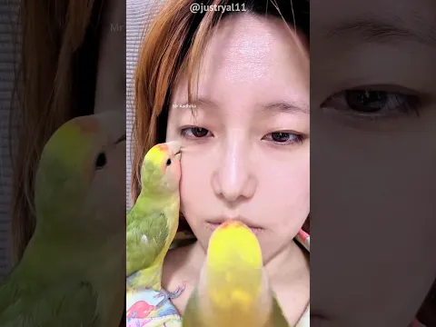 Parrots Give Her a Cute Facial 😘