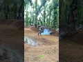 Download Lagu Oleng kapten #shorts #motocross #grasstrack #viral #fyp