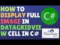 How To Display Full Image In Datagridview Cell In C