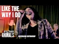 Download Lagu Like The Way I Do - MELISSA ETHERIDGE cover by The Filthy Animals