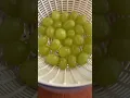 Download Lagu Did you know eating 12 grapes on the New Year brings you good luck? 🍇✨ #newyearseve #happynewyear