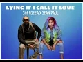 Shenseea, Sean Paul - Lying If I Call It Love [Audio only]
