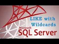 SQL LIKE Operator and Wildcards SQL Tutorial in Urdu - Hindi 014