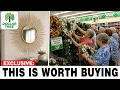 10 NEW Dollar Tree Wall Decor DIYs That Look Like 100 And 5 to Avoid