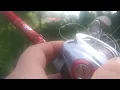 Bass Pro Platinum Johnny Morris Rod Reel
