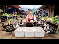 Lagu Buy 100KG Geese From Farmer - Use 3-Wheeled Truck Transport Many Geese Go To Market Sell