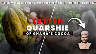 the tetteh quarshie of ghana s cocoa and the major cocoa producing countries in africa 