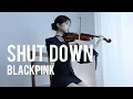Download Lagu BLACKPINK - Shut Down - Violin Cover