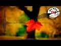 Download Lagu DJ REMIX 彭佑 PENG YOU house music dj pop mandarin selalu asyiik didengar dalam suasana apapun .