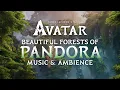 Download Lagu Avatar | Forests of Pandora Music \u0026 Ambience in 4K, w/ @videogameworlds