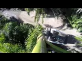 Royal Palm Tree Installation