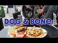Dog Friendly Restaurants NYC We go to Dog Bone in Manhattan for DOG ICE CREAM SnackGangNYC