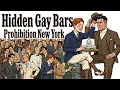 Inside the Hidden Gay Bars of Prohibition New York 1925 History for Sleep