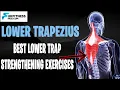 Lower Trapezius Anatomy And Activation Exercises That You Can Do At Home