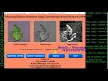 Plant Disease Detection Using Deep Learning Neural Network CNN Python Project Source Code