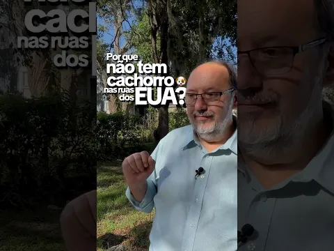 Por que não existe cachorro de rua nos EUA? 👇