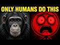 Why Evolution Made Humans Can Do It
