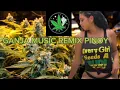 Download Lagu Coldplay-Paradise (Billyboy Reggae Remix w/ Lyrics)