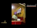Download Lagu Johnny Osbourne No Ice Cream Sound Sound Killing Style