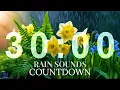 Download Lagu 30 MINUTE TIMER: NATURE SOUNDS: RAIN SOUNDS |BIRDS CHIRPING