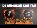 Download Lagu DJ ANDAIKAN ENGKAU TAU Full 8D Audio Effect || Wisnu Ugil