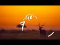 Vigro Deep & LeeMcKrazy - Zama Zama (Lyrics)