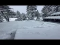 Viewer Tahoe Donner children in snow
