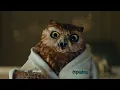 tripadvisor 360