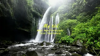 Mẹ tôi