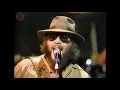 Hank Williams Jr - A Country Boy can Survive 1984