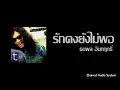 รักคงยังไม่พอ - เสือ ธนพล อินทฤทธิ์ [Audio]