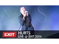 Download Lagu Hurts - Wonderful Life LIVE @ EXIT Festival 2014 | Best Major European Festival Full HD