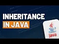 Inheritance in Java with Example Code Importance Explained