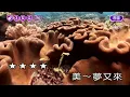 緣份斷情抺盡~方瑞娥~女G調~伴奏~導唱丙