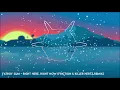 Fatboy Slim - Right Here, Right Now (Friction & Killer Hertz Remix)